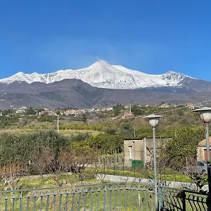 Illo - Santa Venerina